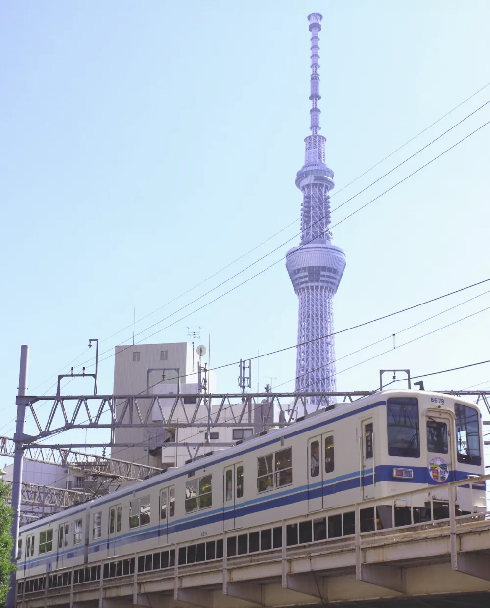 いっしょに同じ空を見た日