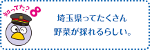 知ってた？8　埼玉県ってたくさん野菜が採れるらしい。