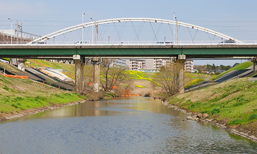 流山市運河水辺公園