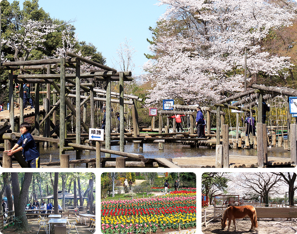 緑ゆたかな、広大な公園とともに人と人がつながっていく街