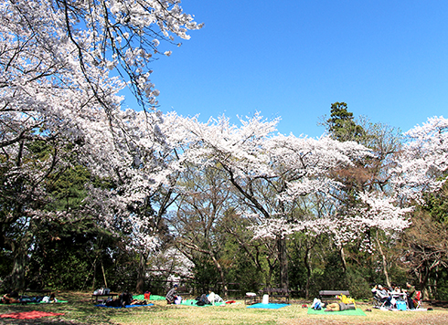 清水公園