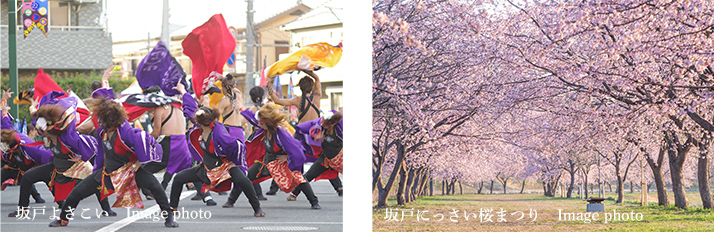 「坂戸よさこい」「坂戸にっさい桜まつり」