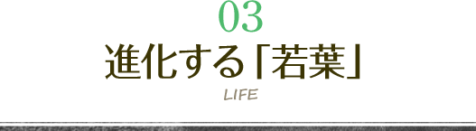 住まいと暮らしのデータ