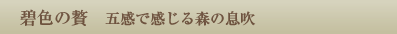 碧色の贅 五感で感じる森の息吹